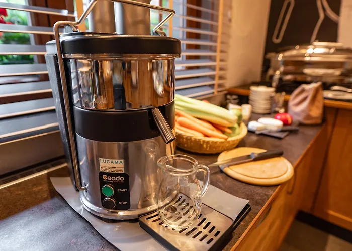 Erzherzog Johann Aparthotel 4*